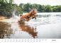 Preview: Listenhund-Kalender 2027 - A3 mit Ringbindung