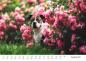 Preview: Listenhund-Kalender 2027 - A3 mit Ringbindung