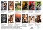 Preview: Listenhund-Kalender 2026 - A3 mit Ringbindung