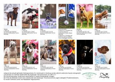 Preview: Listenhund-Kalender 2027 - A3 mit Ringbindung