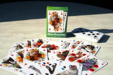Preview: HTV-Kartenspiel