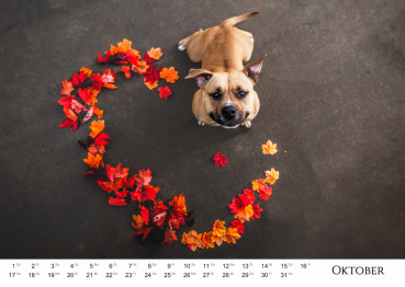 Listenhund-Kalender 2026 - A3 mit Ringbindung