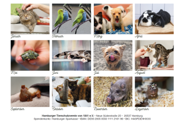 HTV-Kalender 2026