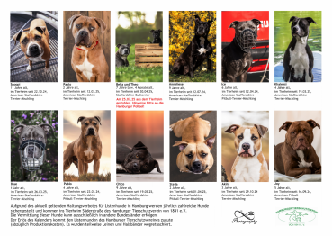 Listenhund-Kalender 2026 - A3 mit Ringbindung