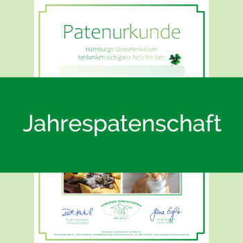 Geschenkpatenschaft 1 Jahr - Streunerkatzen
