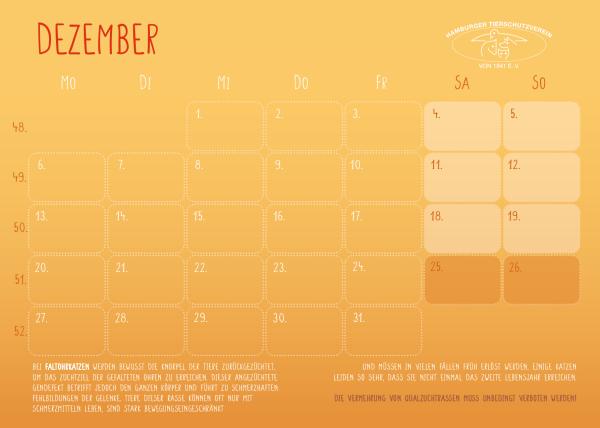 HTV - Kalender 2027