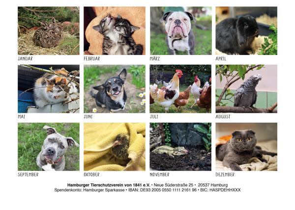 HTV - Kalender 2027