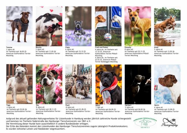 Listenhund-Kalender 2027 - A3 mit Ringbindung
